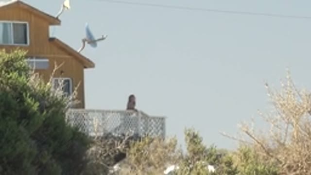 LA BOCANA BCS MEXICO-2022: Person on Wooden House Balcony with Trees