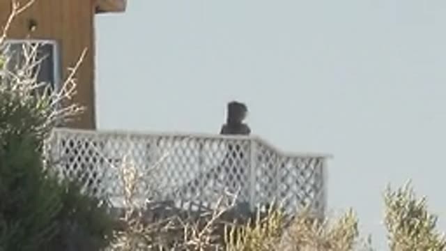 LA BOCANA BCS MEXICO-2022: Person on Lattice Balcony with House and Flying Birds