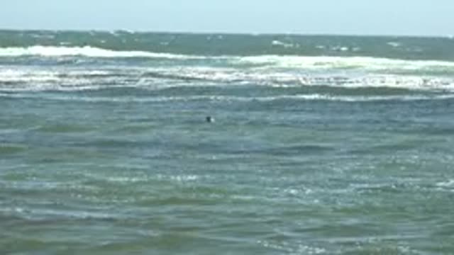 LA BOCANA BCS MEXICO-2022: A Swimmer's Head in Ocean Waves
