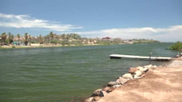 MULEGE BCS MEXICO-2022: Calm Lake Shore with Palm Trees and Dock