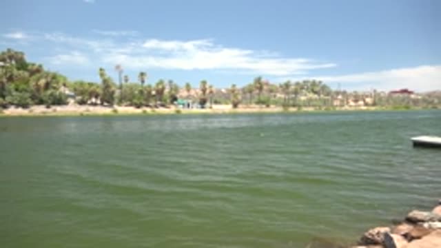 MULEGE BCS MEXICO-2022: Calm Lake Shore with Palm Trees and Distant Buildings