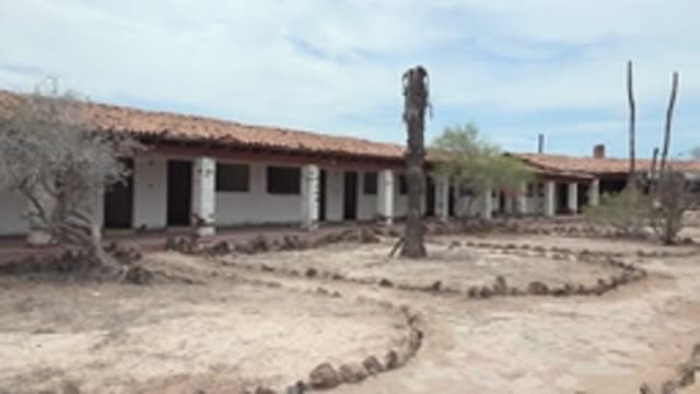 MULEGE BCS MEXICO-2022: Desert Courtyard with Adobe Building and Vanishing Tree