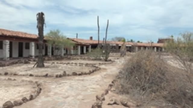 MULEGE BCS MEXICO-2022: Desert Courtyard with Adobe Building and Cacti