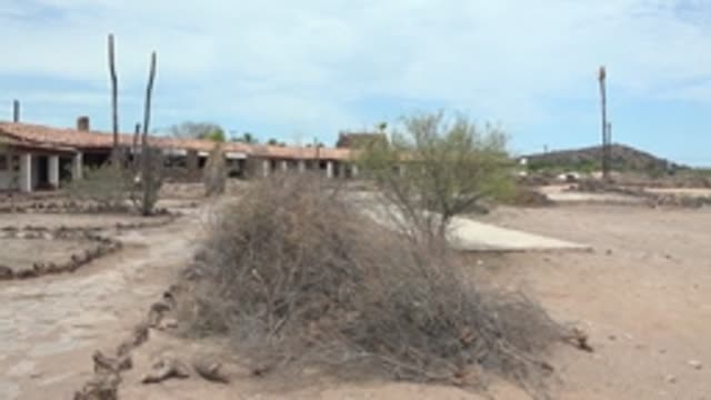 MULEGE BCS MEXICO-2022: Desert Landscape with Building and Cacti