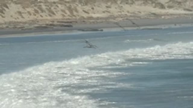 LA BOCANA BCS MEXICO-2022: Seabirds Flying Over Ocean Waves at the Beach