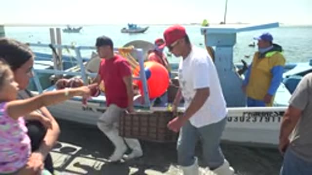 LA BOCANA BCS MEXICO-2022: Fishermen Unloading Catch with Onlookers at Dock