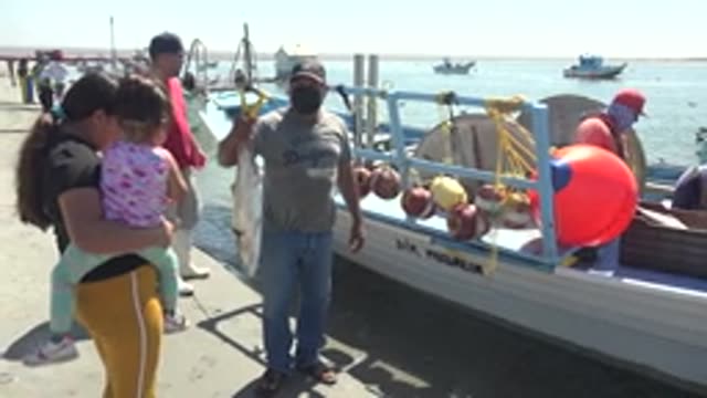 LA BOCANA BCS MEXICO-2022: Fisherman Displays Catch at Harbor Dock