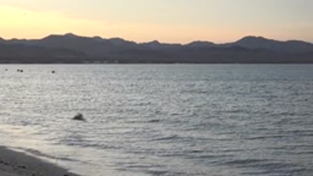 BAHIA DE LOS ANGELES BCS MEXICO-2022: Gentle Waves and Receding Buoys at Sunset Beach