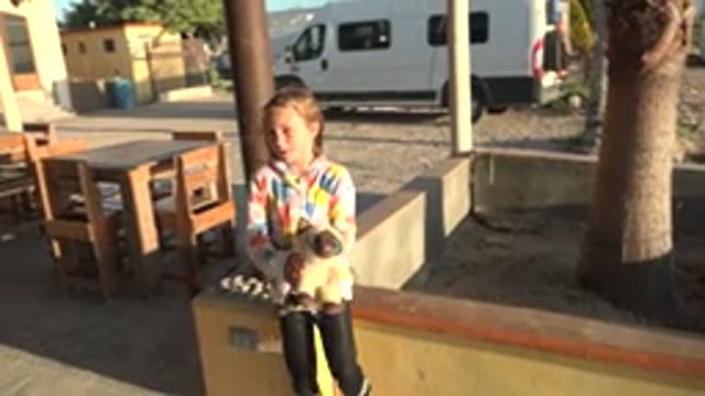 SAN CARLOS BCS MEXICO-2022: Child Moving Small Animal in Outdoor Courtyard
