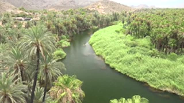 MULEGE BCS MEXICO-2022: River Flanked by Palm Trees and Lush Greenery
