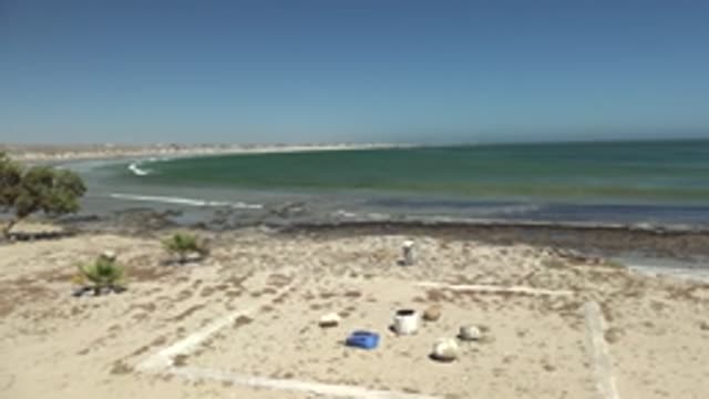 LA BOCANA BCS MEXICO-2022: Waves Rolling Onto Sandy Beach with Palm Trees
