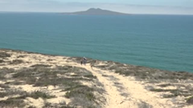 SAN QUINTIN BC MEXICO-2022: Person and Dog Walking Along Coastal Path
