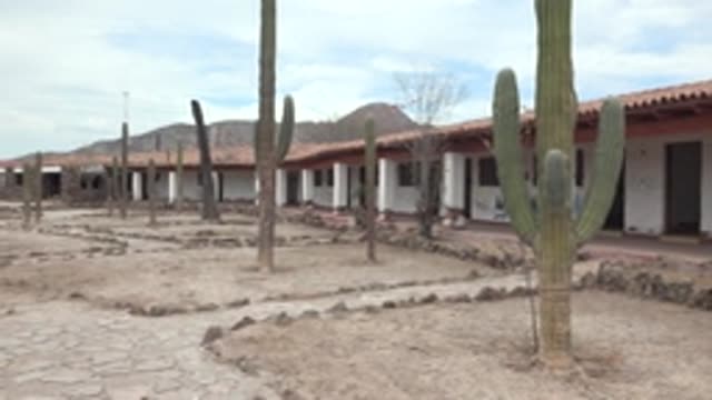 MULEGE BCS MEXICO-2022: Desert Courtyard with Cacti and Red-Tiled Building