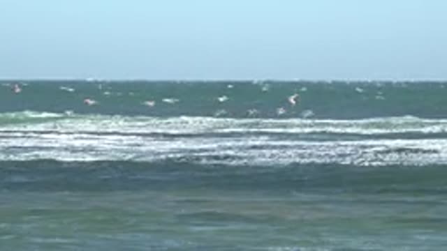 LA BOCANA BCS MEXICO-2022: Seabirds Flying Over Ocean Waves