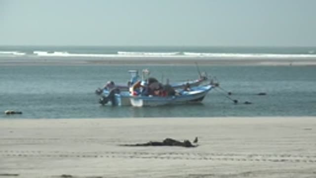 LA BOCANA BCS MEXICO-2022: Bird Moving on Sandy Beach Near Fishing Boat