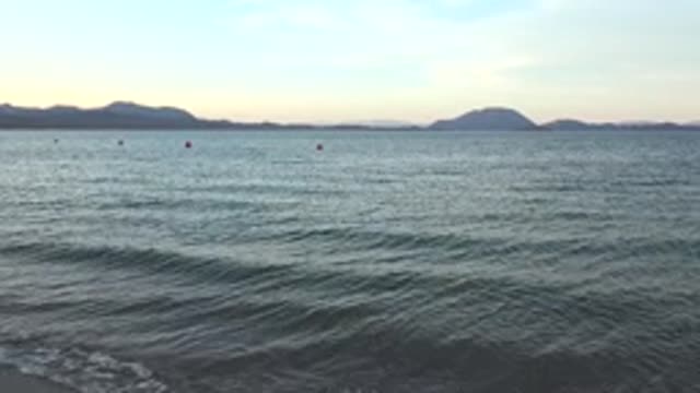 BAHIA DE LOS ANGELES BCS MEXICO-2022: Gentle Waves Lapping at the Sandy Shore