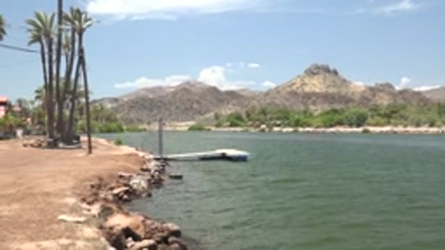 MULEGE BCS MEXICO-2022: Lakeshore with Palm Trees and Distant Mountains