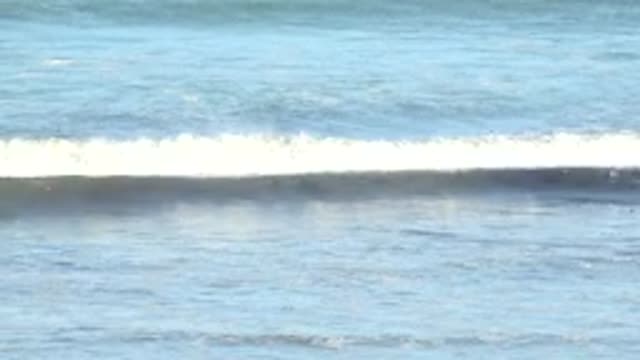 LA BOCANA BCS MEXICO-2022: Ocean Wave Forming, Breaking, and Receding
