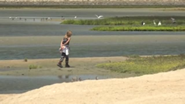 GUERRERO NEGRO BCS MEXICO-2022: Woman Walking in Shallow Wetland with Birds
