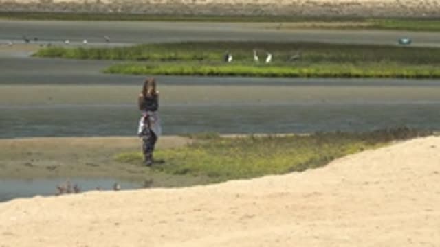 GUERRERO NEGRO BCS MEXICO-2022: Child Observing Birds in a Shallow Wetland