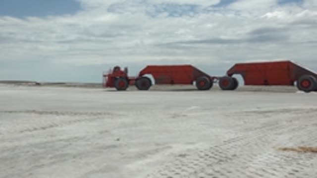 GUERRERO NEGRO BCS MEXICO-2022: Red Hauler and Trailers Moving on Flat Terrain