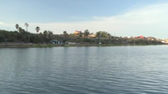 MULEGE BCS MEXICO-2022: Palm Tree-Lined Shore Along Calm Waterway