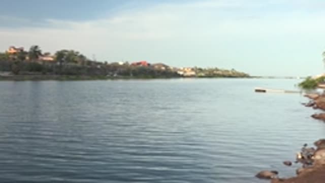 MULEGE BCS MEXICO-2022: Calm Water and Shoreline with Distant Buildings and Palms