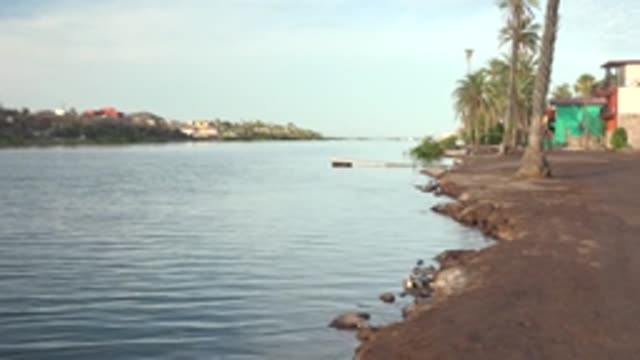MULEGE BCS MEXICO-2022: Calm Waterfront Shore with Palm Trees and Buildings
