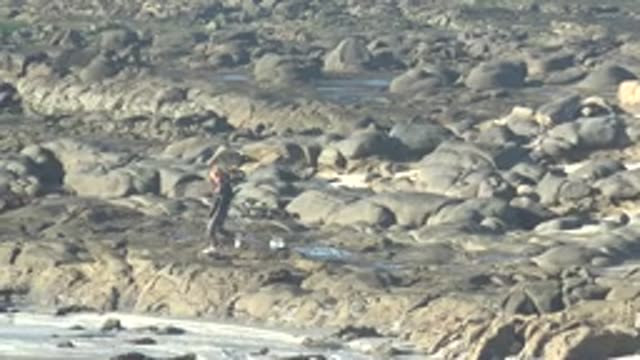LA BOCANA BCS MEXICO-2022: Person Standing on Rocky Shore with Bucket
