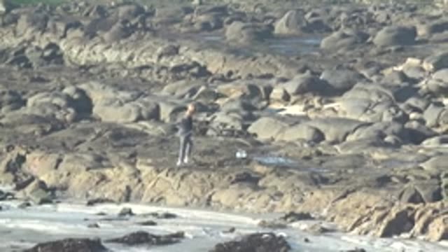 LA BOCANA BCS MEXICO-2022: A Woman Foraging on a Rocky Shore