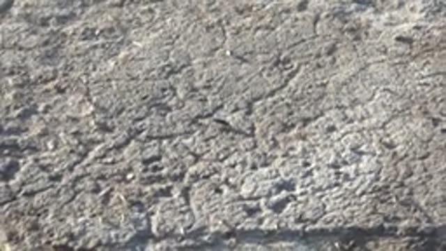MULEGE BCS MEXICO-2022: Close-up of Textured Concrete Surface with Lower Edge Revealing