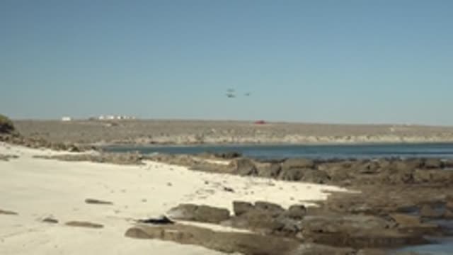 LA BOCANA BCS MEXICO-2022: Birds Flying Over Rocky Beach and Calm Water