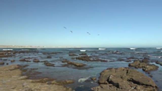 LA BOCANA BCS MEXICO-2022: Rocky Shore with Seagulls Flying Over Ocean