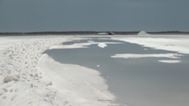 GUERRERO NEGRO BCS MEXICO-2022: Vehicle Moving Across Icy Salt Flat