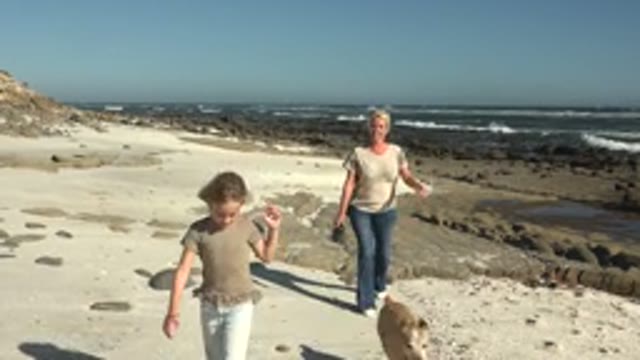 LA BOCANA BCS MEXICO-2022: Child and Adult Walking with Dog on Beach