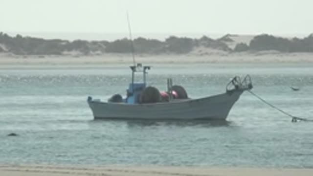 LA BOCANA BCS MEXICO-2022: Small Boat Anchored near Beach with Seagull Flying by