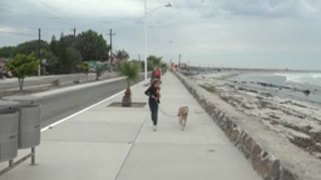PUENTA ABREOJOS BCS MEXICO-2022: Girl Walking Dog on Coastal Sidewalk