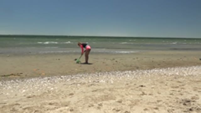 SAN CARLOS BCS MEXICO-2022: Person Using Grabber to Collect Items on Sandy Beach