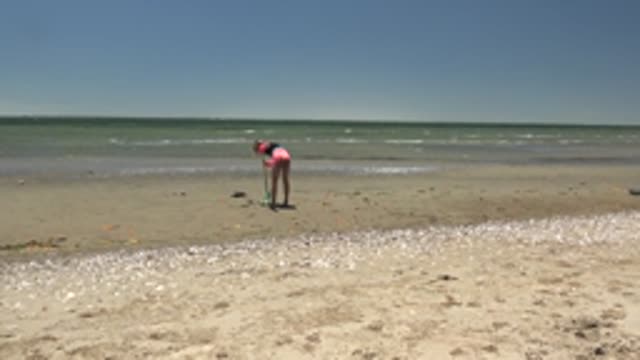 SAN CARLOS BCS MEXICO-2022: Person Collecting Shells on Sandy Beach