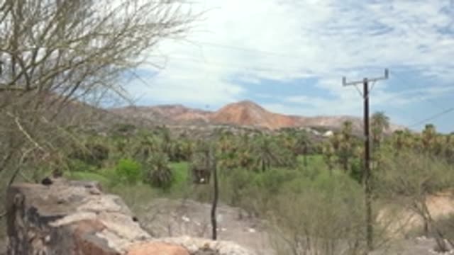 MULEGE BCS MEXICO-2022: Elevated View of Desert Valley with Palm Trees and Mountains