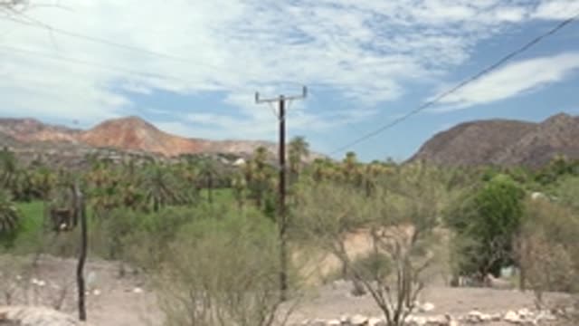 MULEGE BCS MEXICO-2022: Desert Valley Scene with Moving Clouds and Swaying Trees