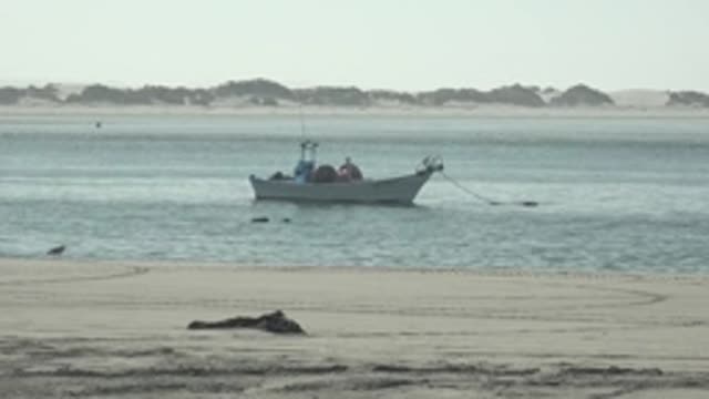 LA BOCANA BCS MEXICO-2022: Small Boat and Seagulls on a Sandy Beach