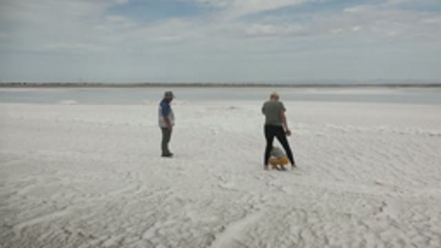 GUERRERO NEGRO BCS MEXICO-2022: Family Walking on Sandy Beach