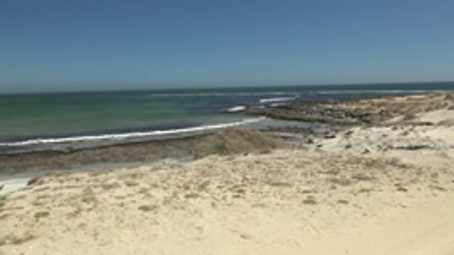 LA BOCANA BCS MEXICO-2022: Sandy Beach with Ocean Waves and Cactus Plant Appearing