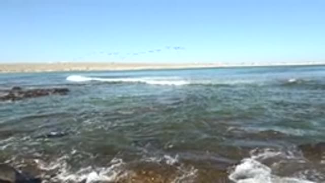 LA BOCANA BCS MEXICO-2022: Waves Crashing on Rocky Shore with Flying Birds