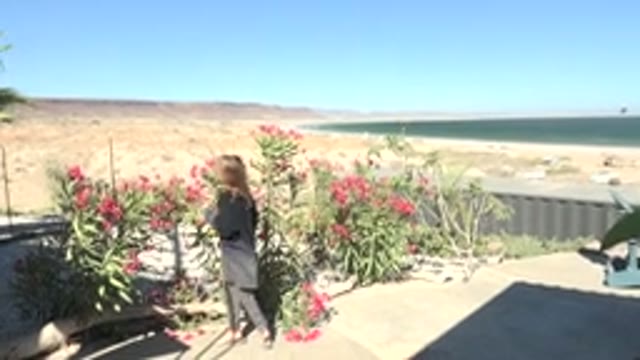 SAN JUANICO BCS MEXICO-2022: Woman Walking Through Desert Garden with Lake View