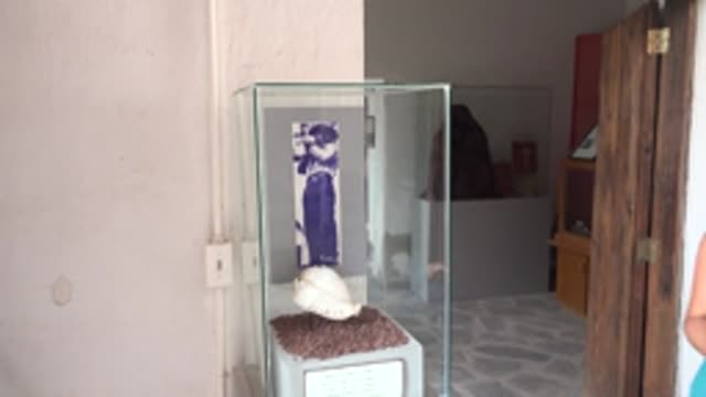 MULEGE BCS MEXICO-2022: People Walking Past Glass Display Case with Seashell