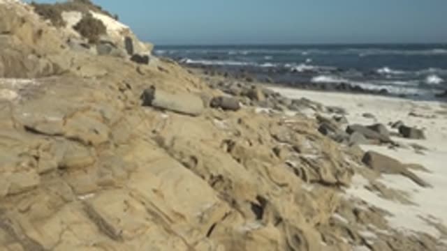 LA BOCANA BCS MEXICO-2022: Rocky Shore with Crashing Ocean Waves