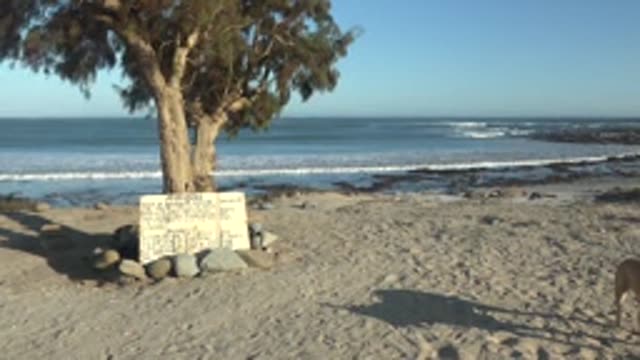 LA BOCANA BCS MEXICO-2022: Beach with Sign and Dog Moving Out of View