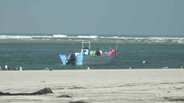 LA BOCANA BCS MEXICO-2022: Seagulls Moving on Sandy Beach Near Small Boat